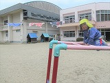 IMG_5916