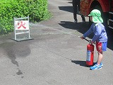 IMG_6246
