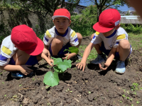 ２松 生活_山岡　未央子_2024年5月22日のノート_9