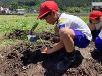 ２松 生活_山岡　未央子_2024年5月22日のノート_10