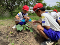 ２松 生活_山岡　未央子_2024年5月22日のノート_4