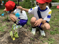 ２松 生活_山岡　未央子_2024年5月22日のノート_3