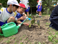 ２松 生活_山岡　未央子_2024年5月22日のノート_2