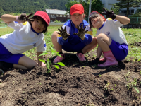 ２松 生活_山岡　未央子_2024年5月22日のノート