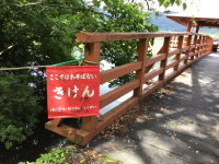 すずらん_生徒指導_武田　佳子_2025年6月15日のノート