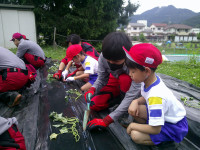 DSCF0035