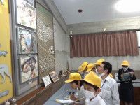 IMG_20260605_102257