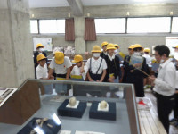 IMG_20260605_103721