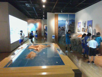 IMG_20260624_112925