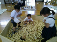 DSCF0040