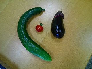 DSCF0004