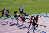 DSC02540