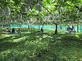 IMG_8246