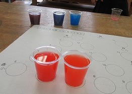 IMG_3786