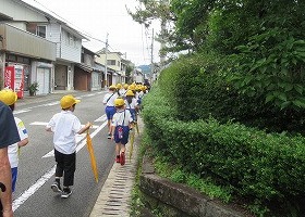IMG_3943
