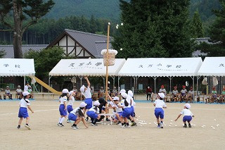 IMG_3381